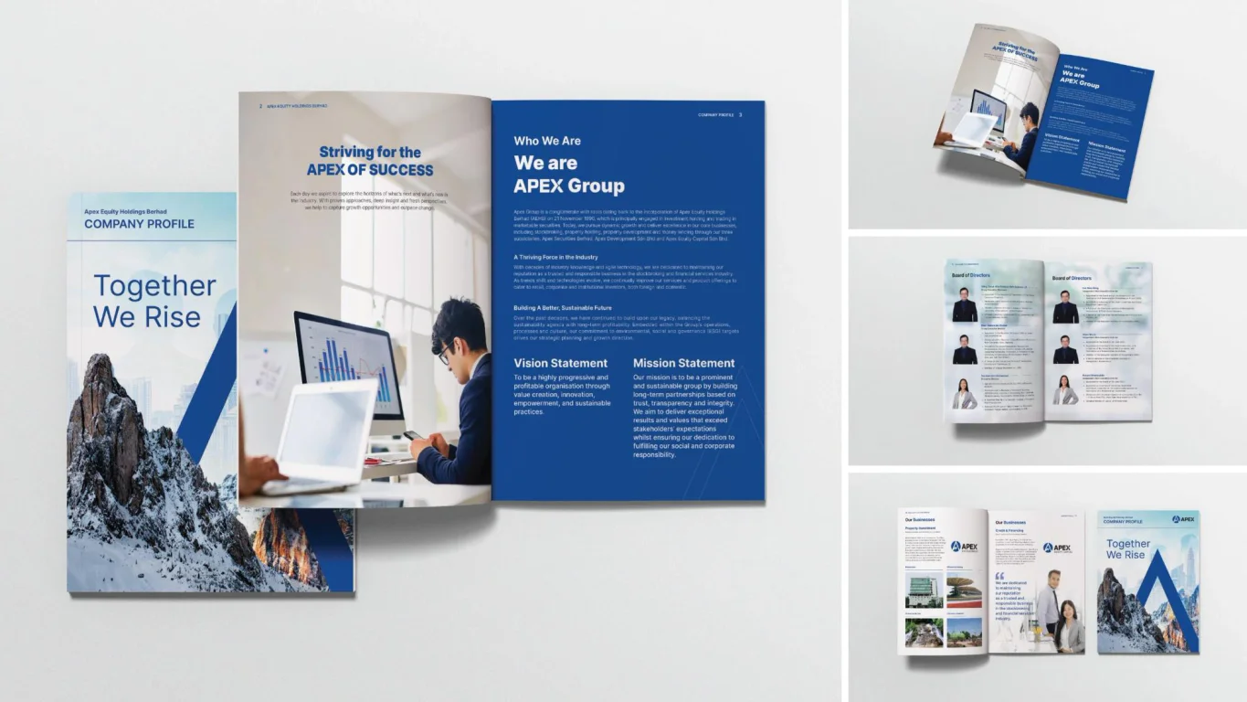 Apex Equity Holdings website Investor Relations section layout