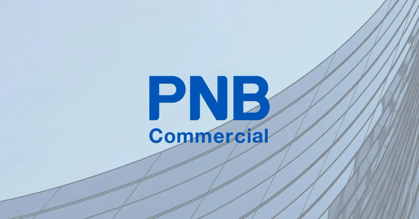 PNB Commercial Website
